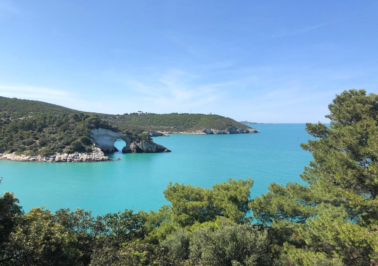 Vieste Suite Dış mekan fotoğraf