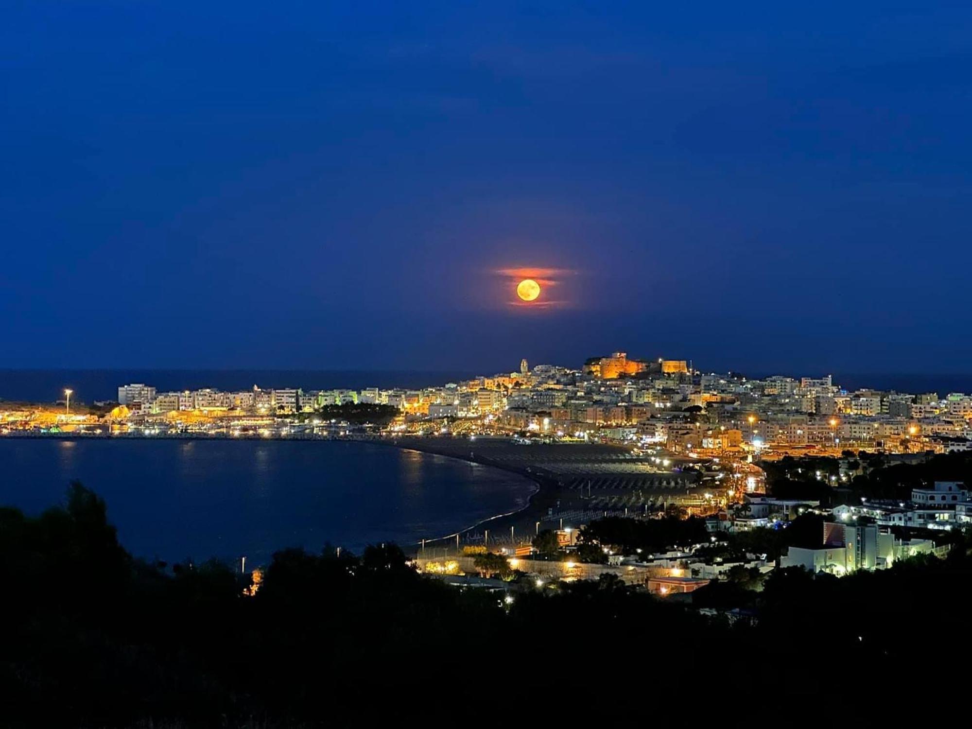 Vieste Suite Dış mekan fotoğraf